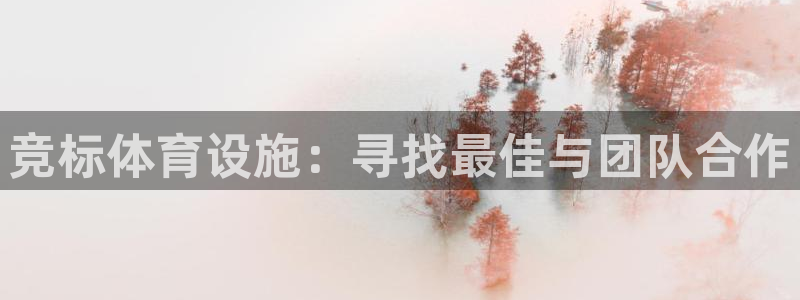 意昂4集团logo：竞标体育设施：寻找最佳与团队合作