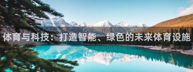 德国意昂4集团：体育与科技：打造智能、绿色的未来体育