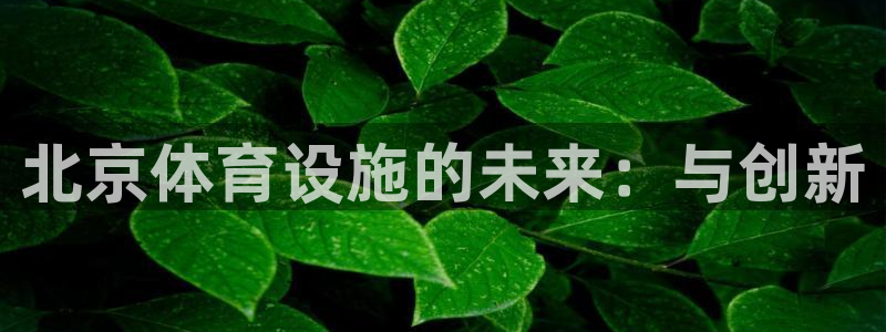 意昂平台体育：北京体育设施的未来：与创新