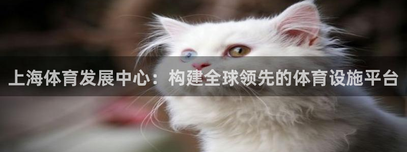 意昂4集团：上海体育发展中心：构建全球领先的体育设施