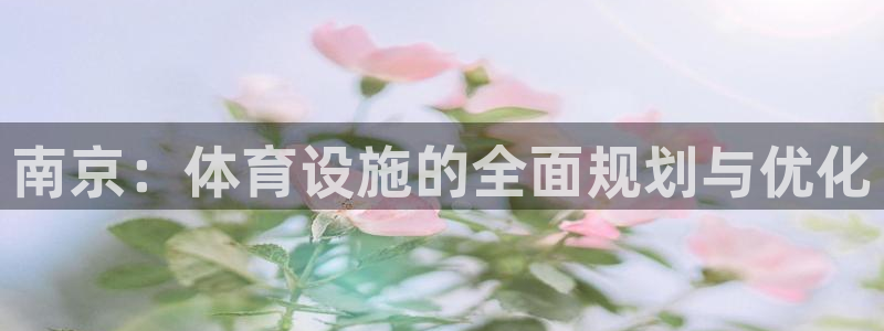 意昂4集团官网网址：南京：体育设施的全面规划与优化