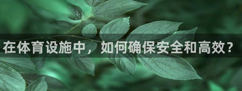 意昂4娱乐网站：在体育设施中，如何确保安全和高效？