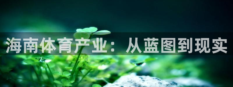 意昂体育4平台是正规平台吗知乎