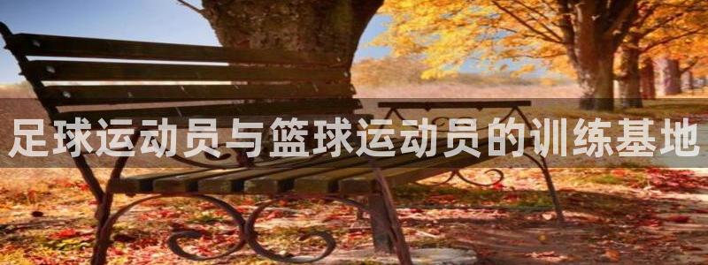 意昂4新能源：足球运动员与篮球运动员的训练基地