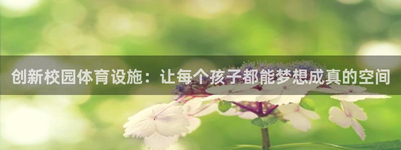 意昂4娱乐首页网站大全：创新校园体育设施：让每个孩子