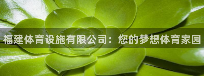 意昂4开户：福建体育设施有限公司：您的梦想体育家园