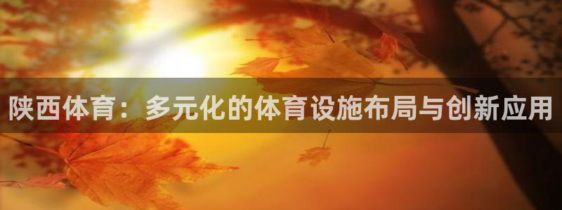 意昂体育4平台：陕西体育：多元化的体育设施布局与创新
