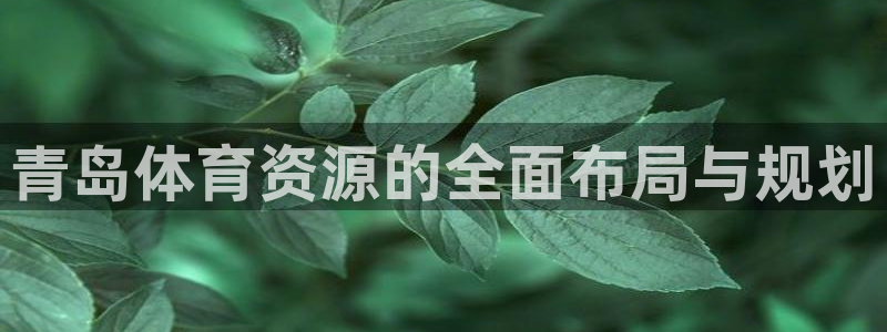 意昂体育4官方客服电话：青岛体育资源的全面布局与规划