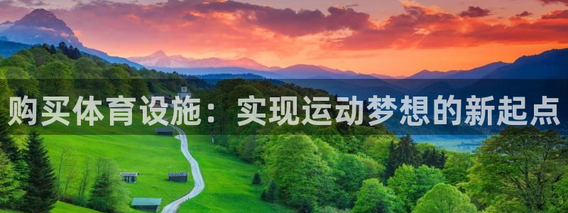 意昂4娱乐代理怎么样：购买体育设施：实现运动梦想的新起点