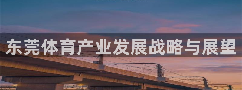 意昂体育4平台注册：东莞体育产业发展战略与展望
