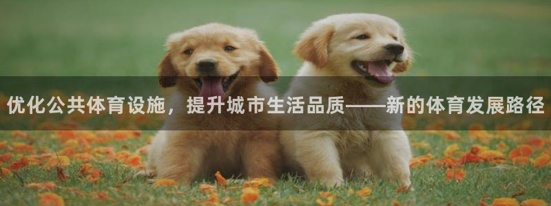 意昂4五金厂：优化公共体育设施，提升城市生活品质——新的体育