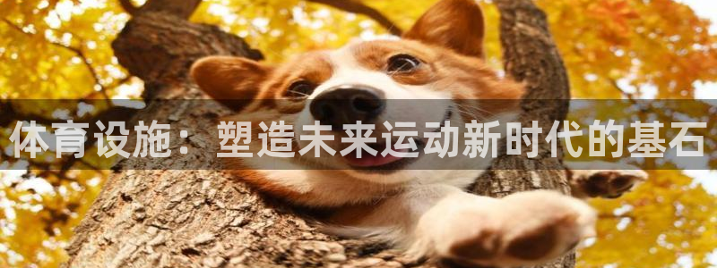 意昂4娱乐是那个系列的台子：体育设施：塑造未来运动新时代的基