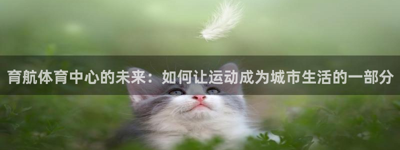 意昂4娱乐首页官网下载：育航体育中心的未来：如何让运动成为城