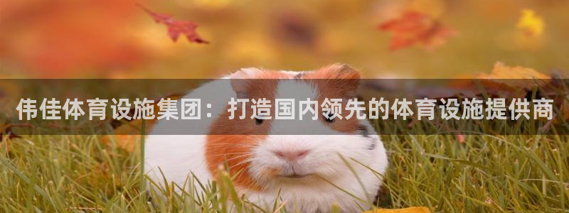 意昂体育4招商电话：伟佳体育设施集团：打造国内领先的体育设施