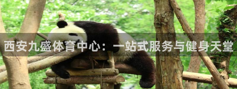 意昂4娱乐网站：西安九盛体育中心：一站式服务与健身天堂