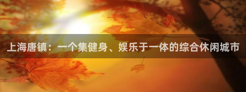 意昂体育4注册：上海唐镇：一个集健身、娱乐于一体的综