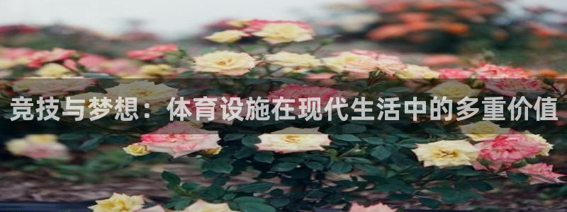 意昂体育4是干嘛的公司：竞技与梦想：体育设施在现代生