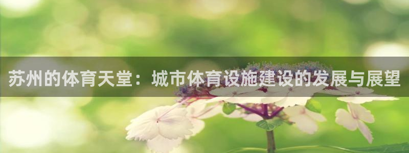 意昂4神州：苏州的体育天堂：城市体育设施建设的发展与展望