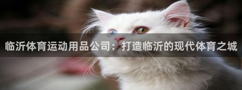 意昂体育4注册：临沂体育运动用品公司：打造临沂的现代