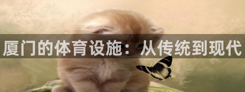 意昂体育4平台：厦门的体育设施：从传统到现代