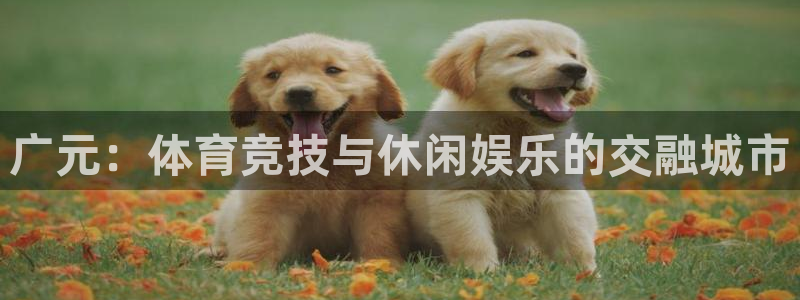 意昂4新能源：广元：体育竞技与休闲娱乐的交融城市