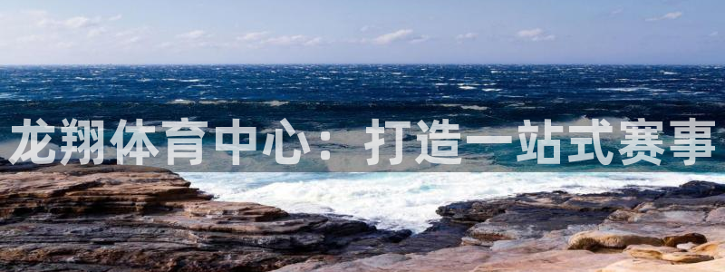 意昂4新能源