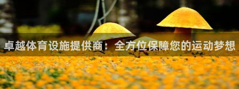 意昂平台体育：卓越体育设施提供商：全方位保障您的运动