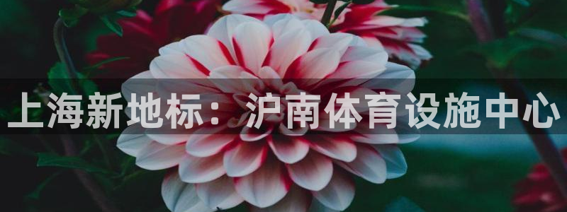 意昂体育4招商电话号码：上海新地标：沪南体育设施中心