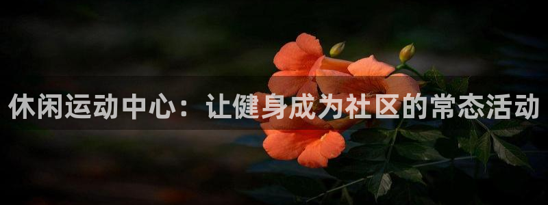 意昂体育4招商