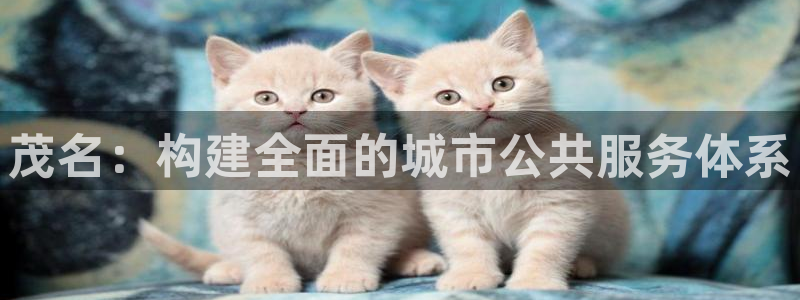 意昂体育4平台是正规平台吗