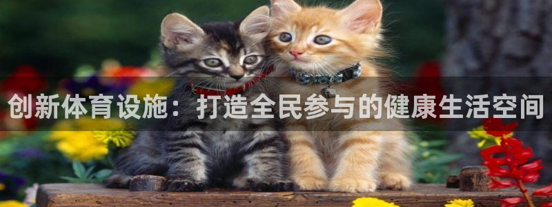 意昂体育4招商电话号码是多少号：创新体育设施：打造全民参与的