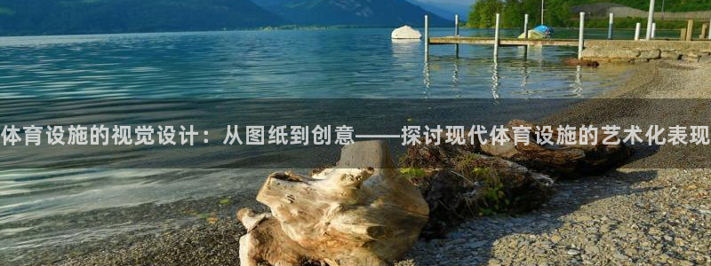 意昂体育4招商电话号码：体育设施的视觉设计：从图纸到创意——