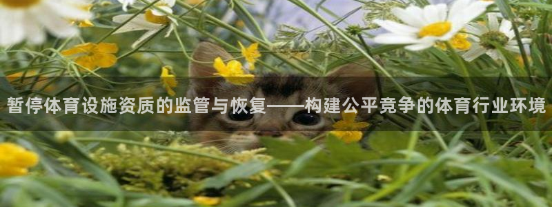 意昂体育4招商电话号码查询：暂停体育设施资质的监管与恢复—— 