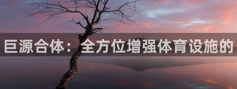 意昂体育4是干嘛的公司：巨源合体：全方位增强体育设施的 