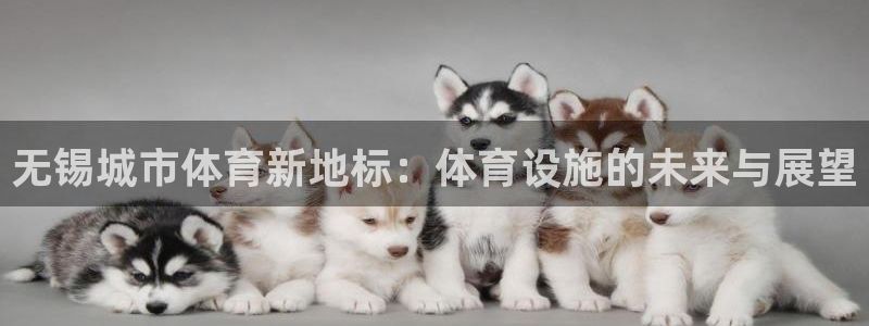 意昂4娱乐代理怎么样：无锡城市体育新地标：体育设施的未来与展
