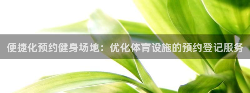 意昂4官网：便捷化预约健身场地：优化体育设施的预约登