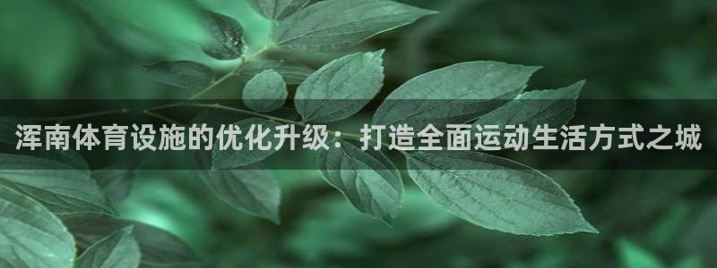 意昂体育4娱乐：浑南体育设施的优化升级：打造全面运动