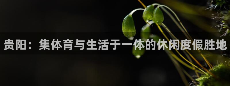 意昂体育4招商电话地址：贵阳：集体育与生活于一体的休