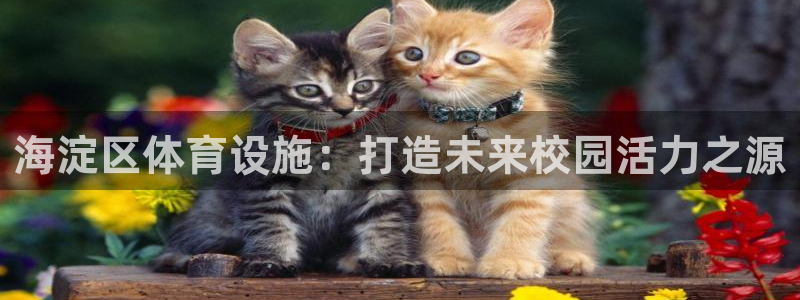海南意昂体育4发展怎么样：海淀区体育设施：打造未来校园活力之