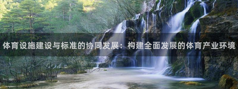意昂4娱乐40996：体育设施建设与标准的协同发展：