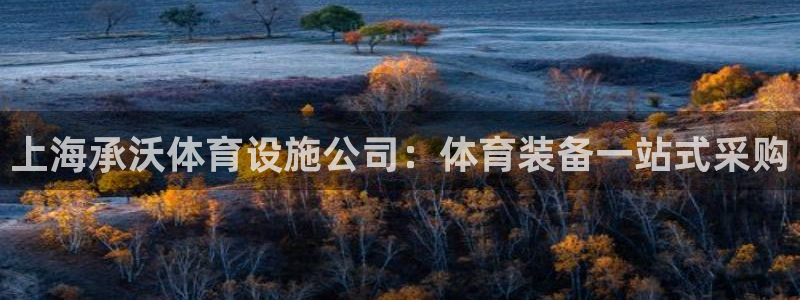 意昂4娱乐平台：上海承沃体育设施公司：体育装备一站式采购 