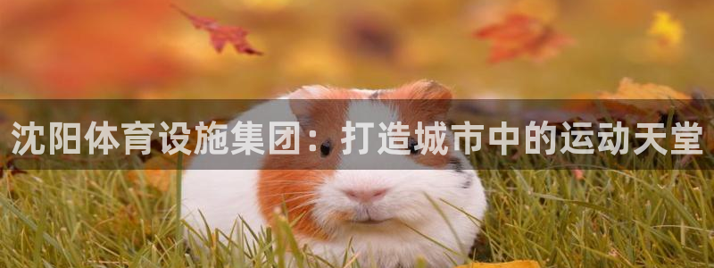 意昂体育4招商电话是多少：沈阳体育设施集团：打造城市