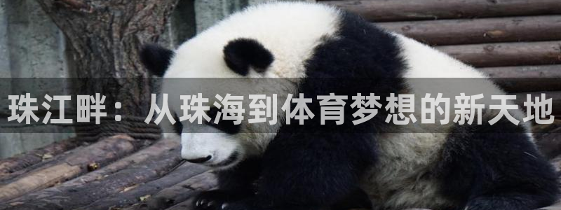 意昂体育4招商电话号码是多少：珠江畔：从珠海到体育梦