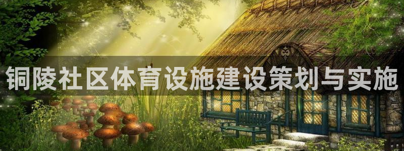 意昂4娱乐网站：铜陵社区体育设施建设策划与实施