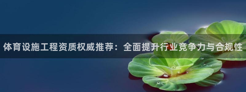 意昂体育4是干嘛的公司：体育设施工程资质权威推荐：全