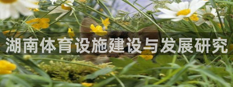 意昂4神州：湖南体育设施建设与发展研究