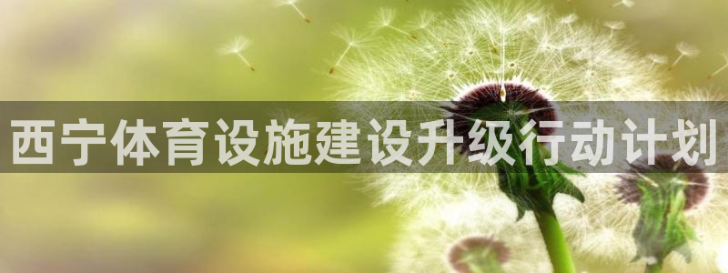 意昂4五金厂：西宁体育设施建设升级行动计划