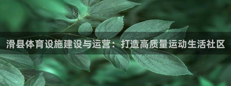 意昂体育4平台是正规平台吗：滑县体育设施建设与运营：