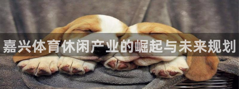 意昂4官方：嘉兴体育休闲产业的崛起与未来规划