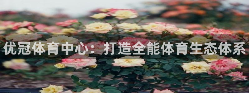 意昂体育4平台是正规平台吗知乎：优冠体育中心：打造全